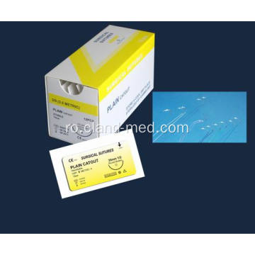 Absorbable Plain Catgut chirurgicale Sutures cu ac